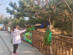 -西霞口神雕山野生动物世界