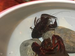 -随善园餐厅(大理店)