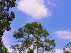 -广州市白云山风景名胜区