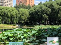 -吉林大学(前卫南区)