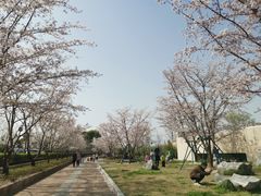 -良渚古城遗址公园