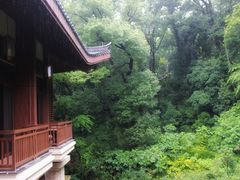 -杭州花家山庄