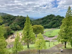 -神户市立六甲山牧场