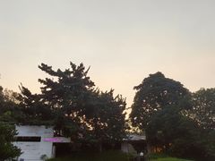 -凤阁楼果木烧鹅(鹤山陈山店)