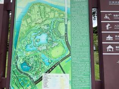 -王借岗森林公园