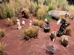 -陕西自然博物馆