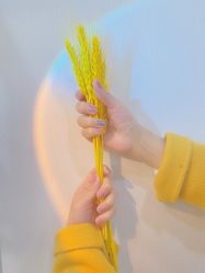 -UMl Nail 尤米美甲美睫半永久