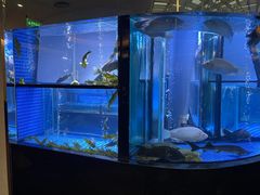 -王家渡火锅店(棕榈泉店)