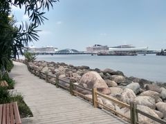 -滨江森林公园-真人CS野战场