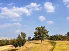 -盘龙城国家考古遗址公园