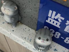 -半岛宠物医院24小时(白果林店)