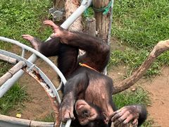 -西霞口神雕山野生动物世界