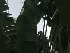 -上海冠松上汽大众4S店