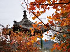 -香山公园