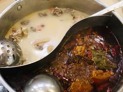 鸳鸯猪肚鸡煲-鼎尊锅物料理(五角场店)