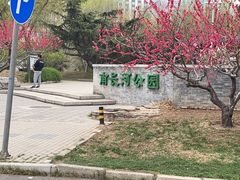 -南长河公园