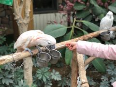 -南宫五洲植物乐园