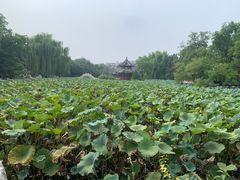 -莲池书院博物馆