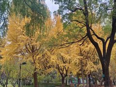 -丰台花园