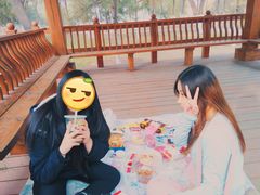 -大兴滨河森林公园