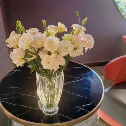 -花隐·美芙炫海菲秀皮肤管理中心