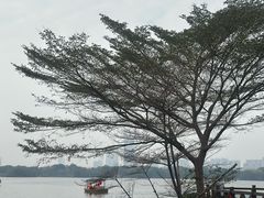 -海珠湖公园