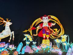 -武汉园博园(武汉自然博物馆)