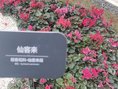 -广州市白云山风景名胜区
