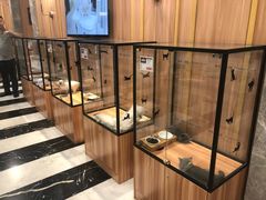 -袖虎·猫馆(体育西路店)