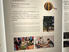 -中国茶叶博物馆(双峰馆区)