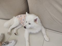 -怪兽屋·羊驼·猫咖·狗咖(俊华广场店)