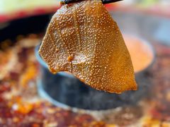 -三江两海老火锅(北京首店)