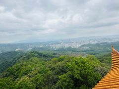 -大屏嶂森林公园