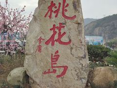 -桃花岛风景旅游区