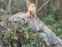 -千岛湖东南湖区
