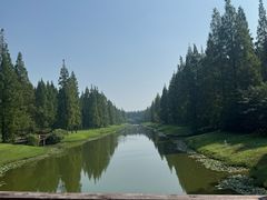 -黄海国家森林公园