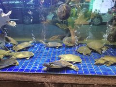 水产区-苏福记·海鲜佬(凤城四路店)