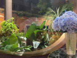 -花隐·美芙炫海菲秀皮肤管理中心