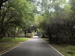 -北陵公园