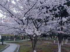 -公益图书馆(江南大学店)