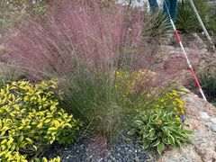 -绿洲雅宾利花园