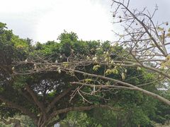 -顺峰山公园