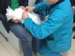 -纳吉亚猫专科动物诊疗中心(蒋宅口分院)