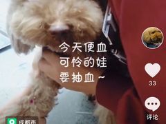 -瑞派宠物医院(锦江店)