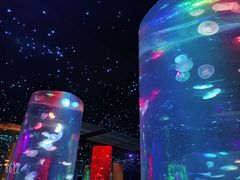 -锦艺城海洋馆