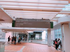 -香港大学