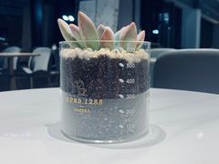 -外滩1288花园丽舍