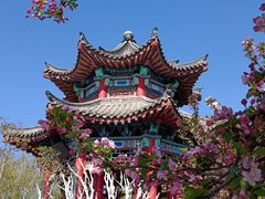 -济南大明湖景区