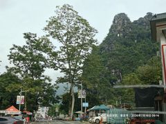 -明仕田园