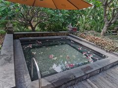 -厦门日月谷温泉渡假村